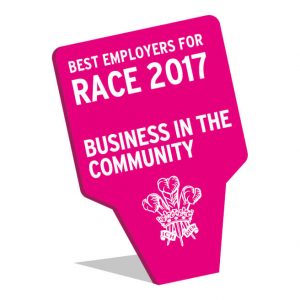 Best Employers for Race 2017 logo